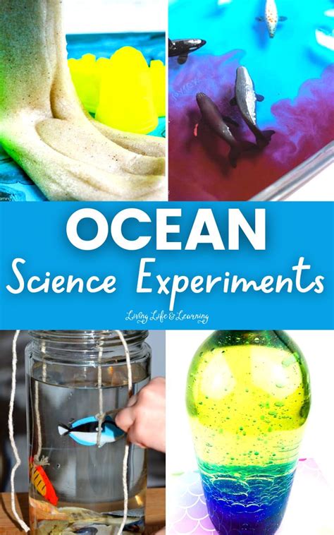 Ocean Science Experiments Living Life And Learning Marine Science Experiment Ideas - Marine Science Experiment Ideas