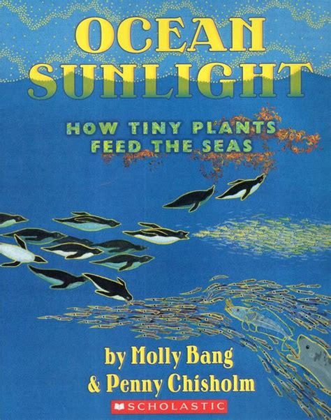 Ocean Sunlight How Tiny Plants Feed The Seas Sunli