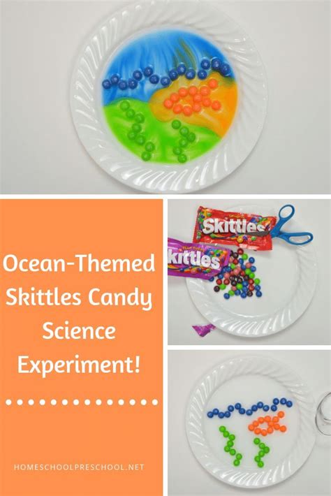 Ocean Themed Skittles Candy Science Experiment For Summer Science Themed Candy - Science Themed Candy