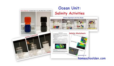 Ocean Unit 5 Salinity Activities Amp Why The Ocean Salinity Worksheet - Ocean Salinity Worksheet