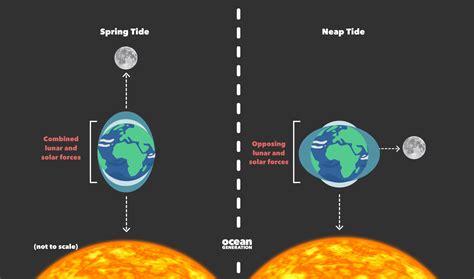 Ocean Waves And Tides Study Guide Answers