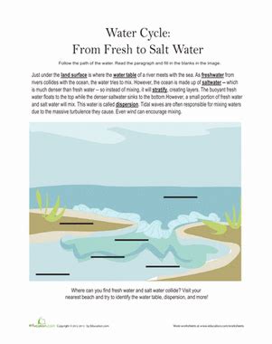 Ocean Worksheets Ocean Salinity Worksheet - Ocean Salinity Worksheet