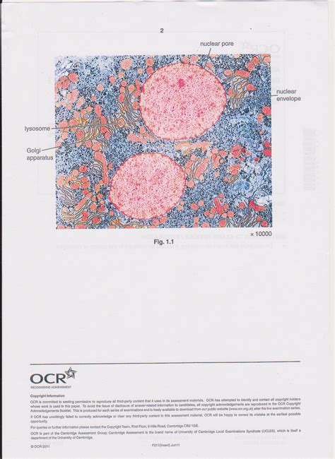 Full Download Ocr Biology F211 June 2013 Paper 