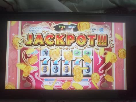 octagonia casino jackpot quest mtjy belgium