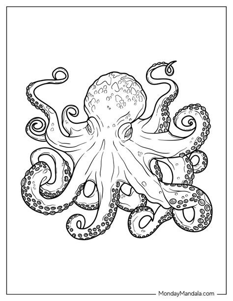 octopus coloring page