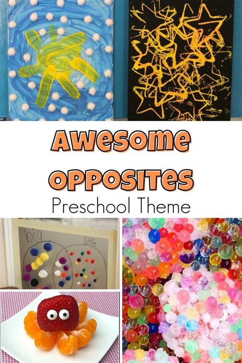 Octopus Opposites And Opposite Themed Activity Plan For Opposite Activity For Preschool - Opposite Activity For Preschool