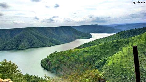 Octopus View Point