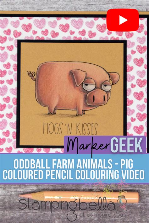 Oddball Farm Animals Pig Coloured Pencil Video Marker Farm Animals To Colour - Farm Animals To Colour