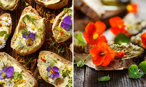 odla ätbara blommor