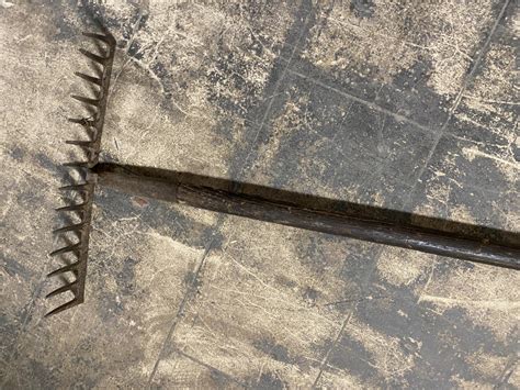 Odr Wise Rake