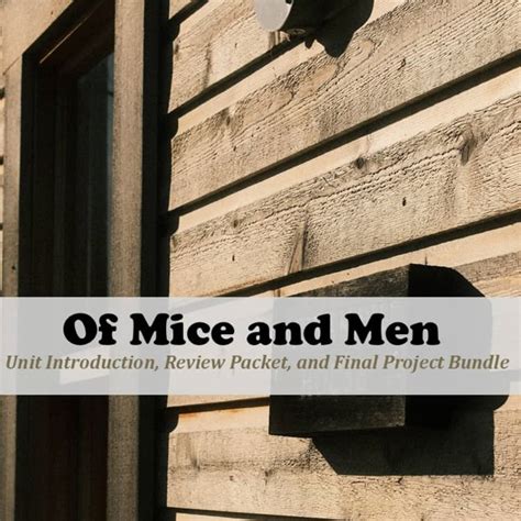 Of Mice And Men Unit Test