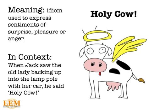 offensive language - Meaning of holy cow and holy $h!t