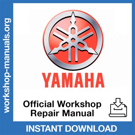Official Workshop Manuals