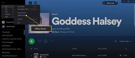 offline mode spotify pc