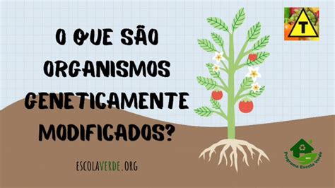 up bet: Apostas Desportivas Online Seguras e Com Proteção de Fundos para Todos os Jogadores - Foto 2