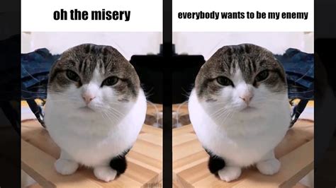 oh the misery (wawa cat) - enemy (HD Sync), 3.91 MB, 02:51 - Find …