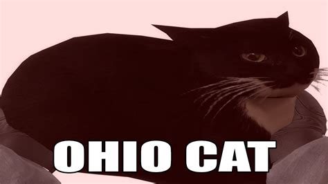 ohio cat