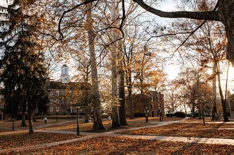 ohio edu