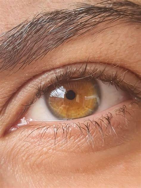 Ojos Color Miel