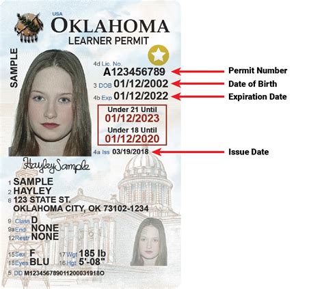 oklahoma learner's permit
