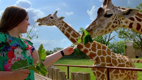 oklahoma zoo