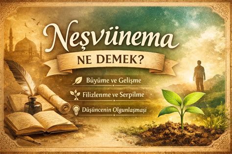 Okült Ne Demek
