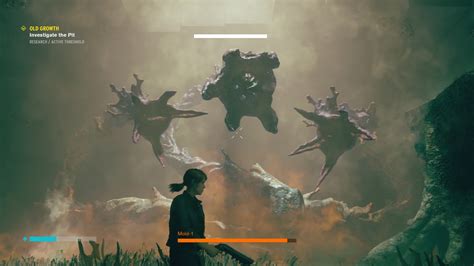 Old Growth Control Walkthrough