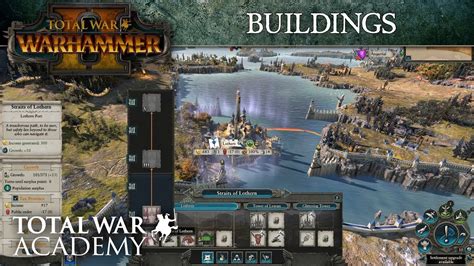olga has a drawer of socks totalwarwarhammerskiptutorial