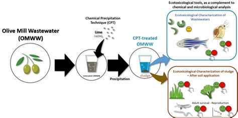 Olive Mill Wastewater Anaerobically Digested Phenolic