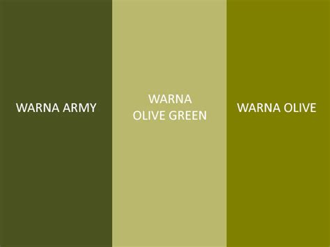 olive warna