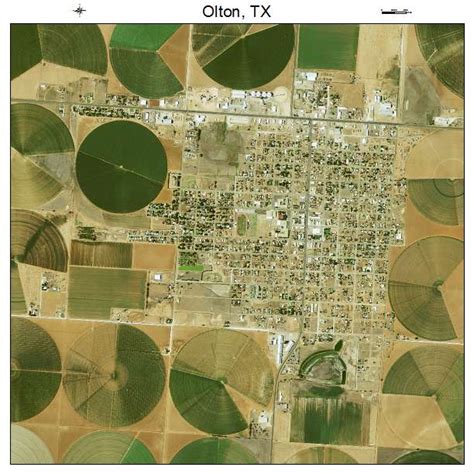 olton texas