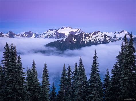 olympus washington