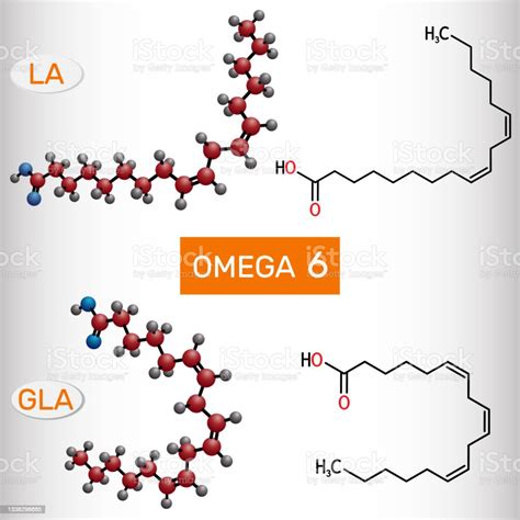Omega 6 Molecule