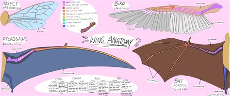 On A Wing On A Prayer
