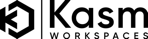 On Kasım Resmi