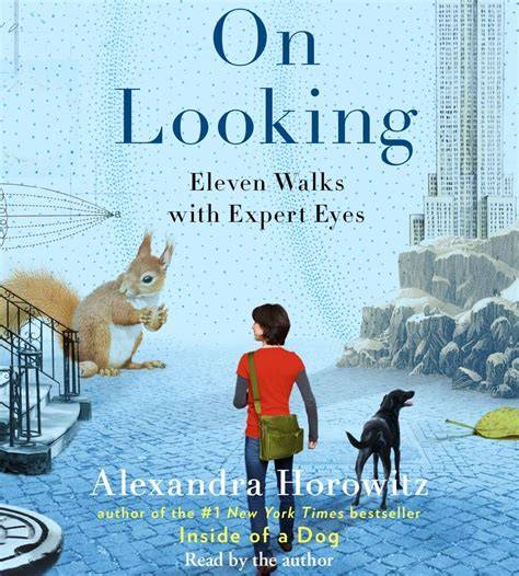 on looking eleven walks with expert eyes