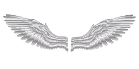 On Silver Wings