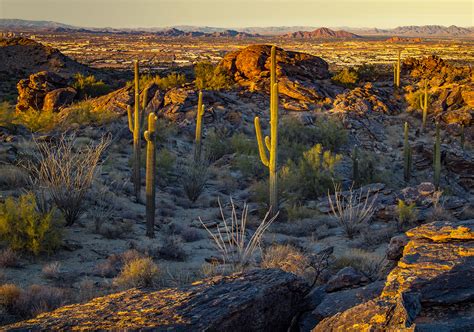 On South Mountain