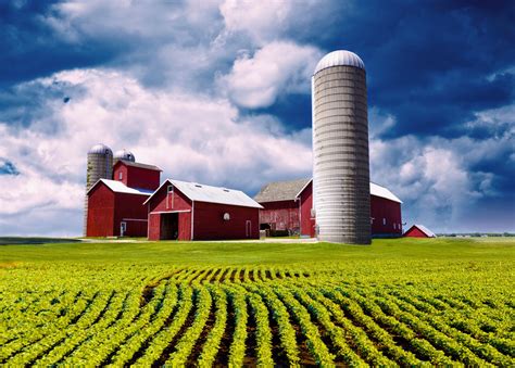 on the farm