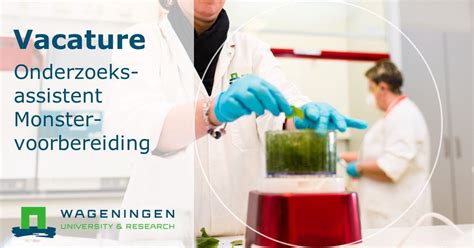 onderzoeksassistent