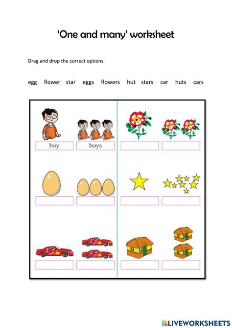 One Amp Many Worksheet Live Worksheets One And Many Es Words - One And Many Es Words