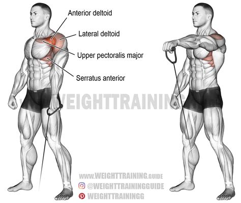 One Arm Cable Front Raise