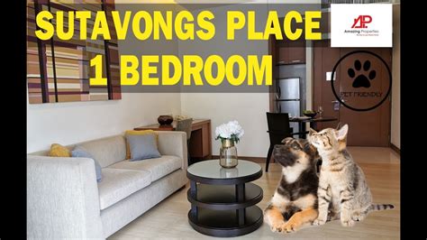One Bedroom Pet Friendly Apartments