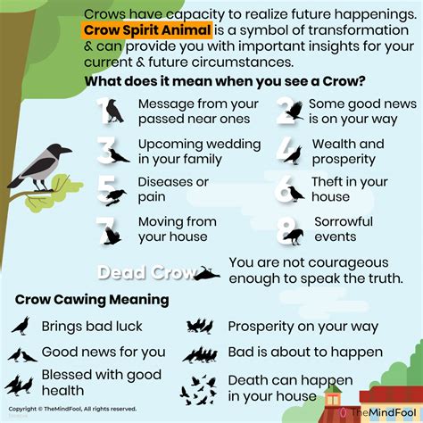 One Crow Meaning