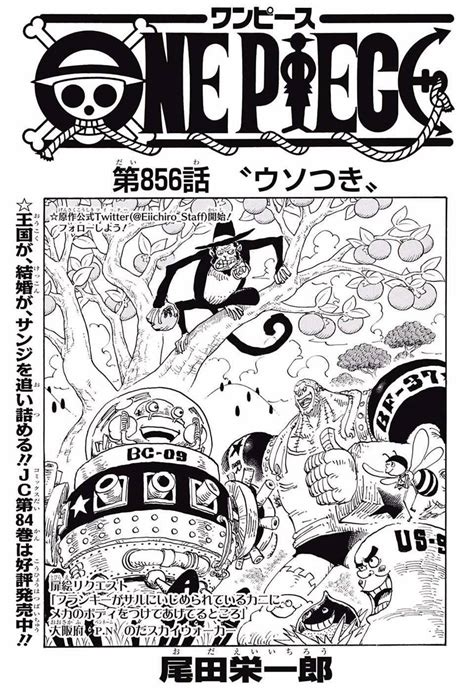 one piece 856 izle