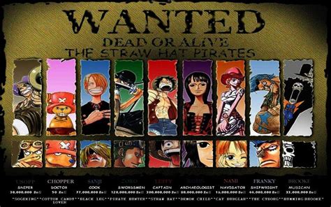 One Piece Luffy Crew Members