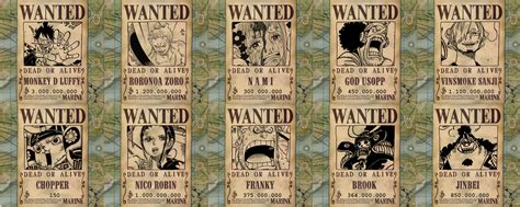 one piece straw hat pirates bounties