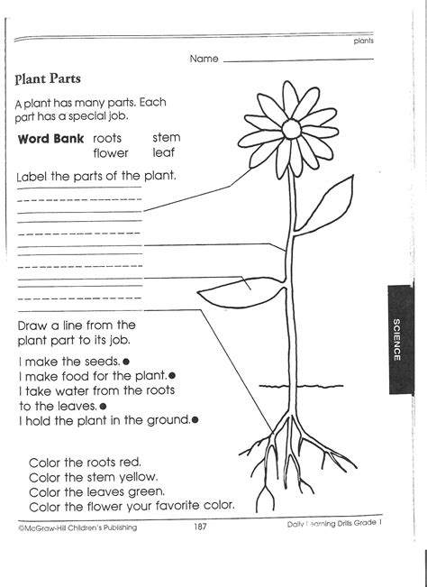 One Step Worksheets Plant Science   Parts Of A Plant For Kids - One Step Worksheets Plant Science