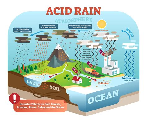 Onewater Org Ph And Acid Rain Worksheet - Ph And Acid Rain Worksheet