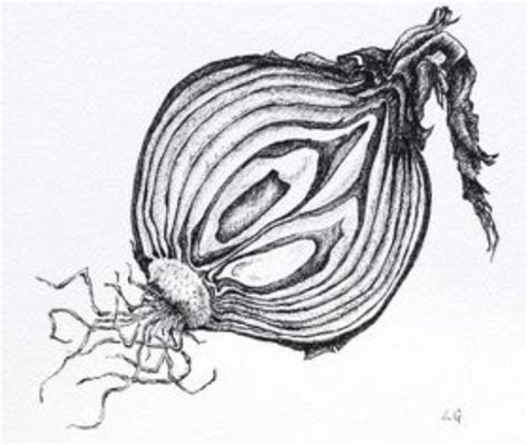 Onion Layers Drawing